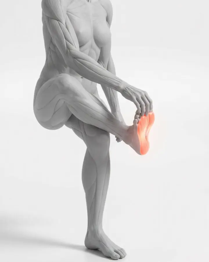 A figure pulling the toes of the crossed foot back, the plantar fascia highlighted