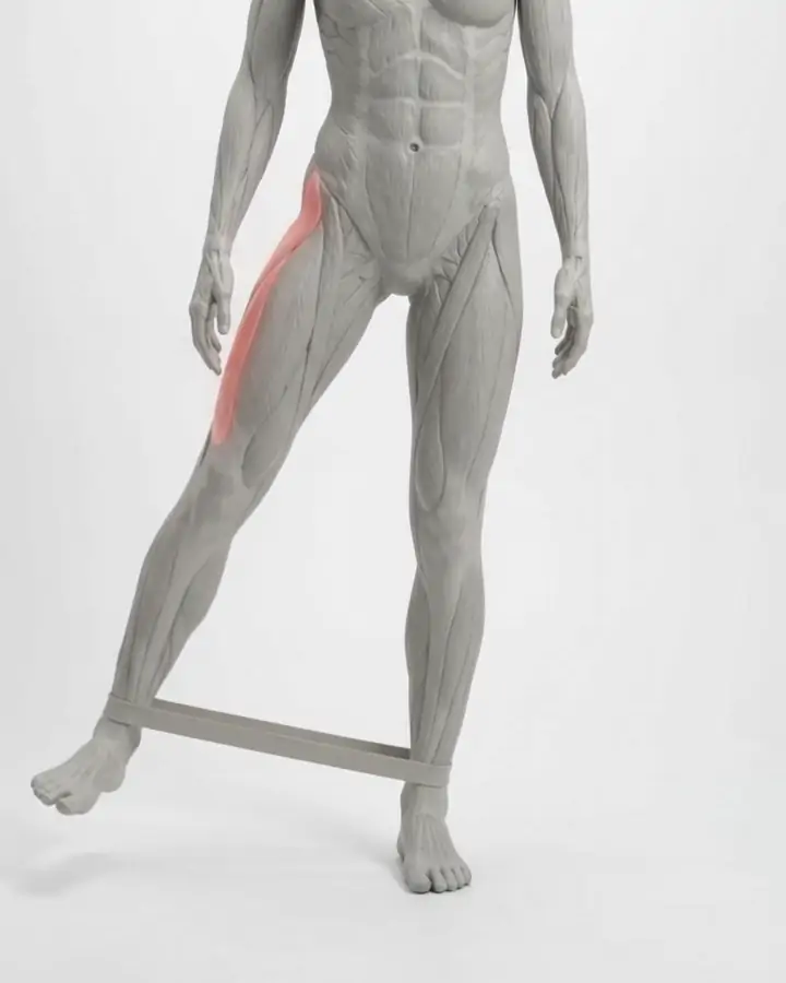 A standing figure with a band around the ankles lifting one leg to the side, the outer hip highlighted